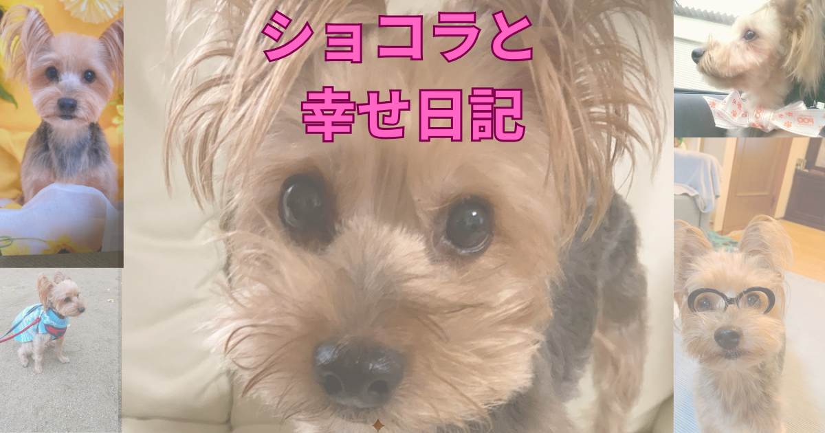 日記